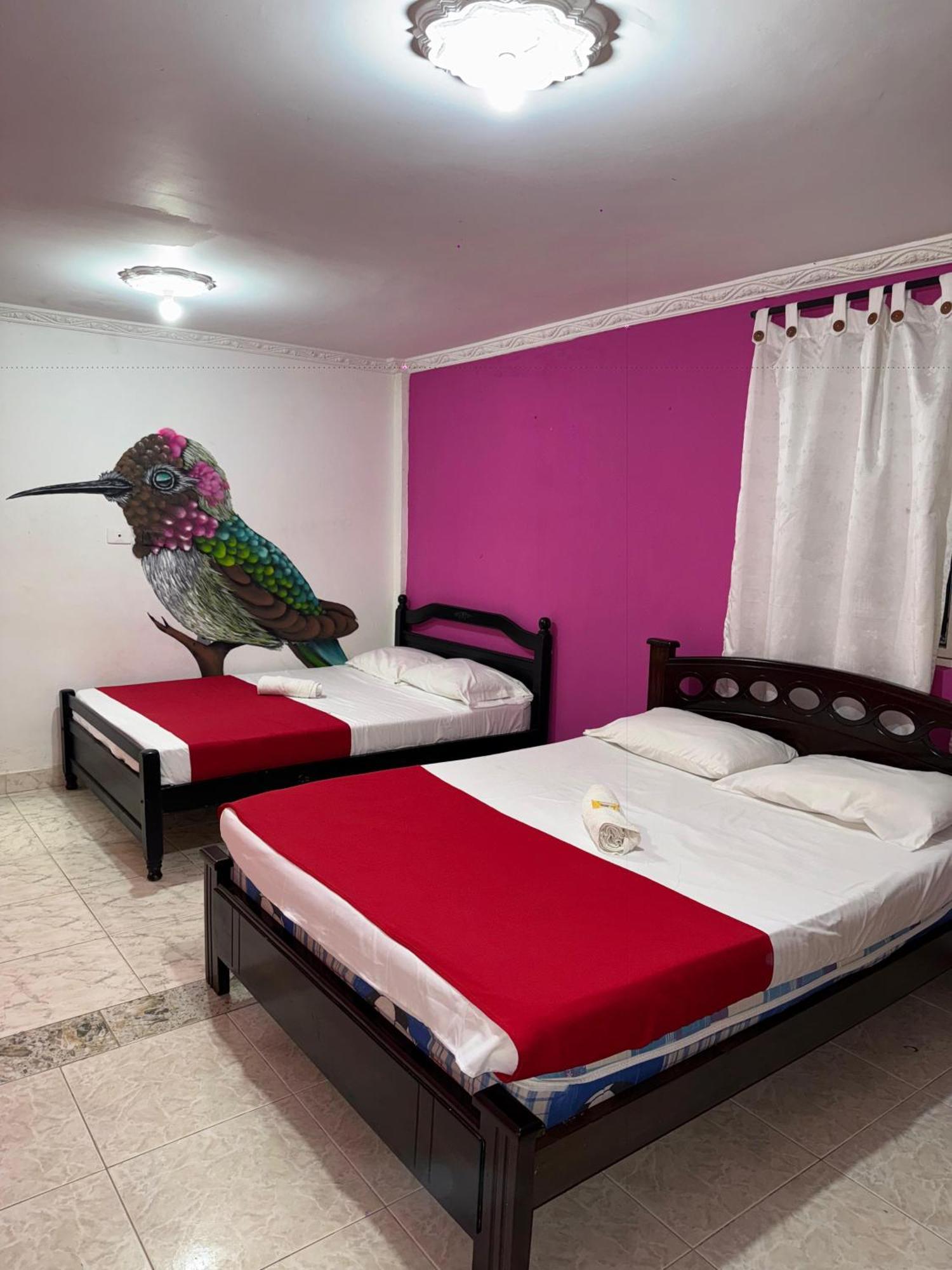 Ecohotel Colibri Salento Luna Park Extérieur photo