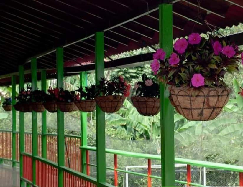 Ecohotel Colibri Salento Luna Park Extérieur photo
